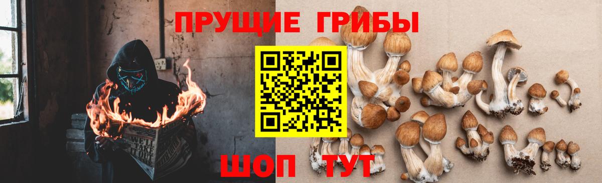 Псилоцибиновые грибы Psilocybe  Вход с VPN  Галлюциногенные грибы GOLDEN TEACHER  Коломна 